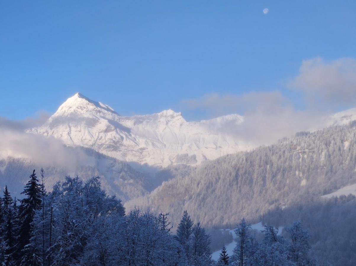 Chalet Mon Idole Flumet Εξωτερικό φωτογραφία