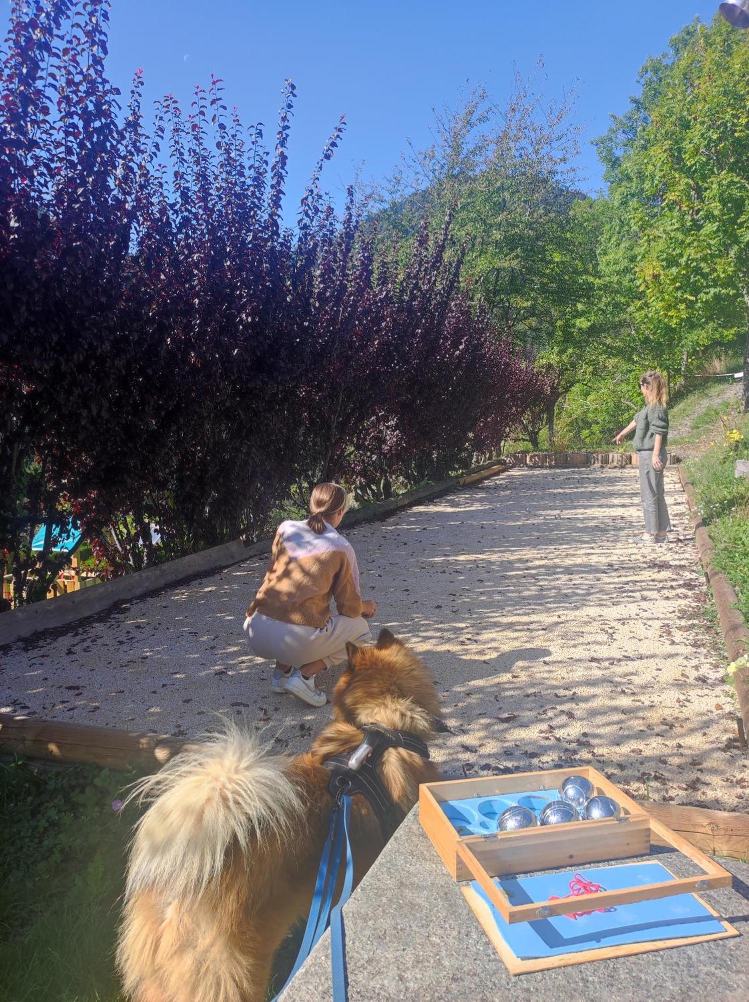 Chalet Mon Idole Flumet Εξωτερικό φωτογραφία
